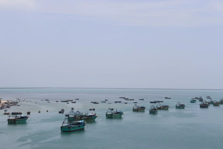 250 Missing After Migrant Boat Sinks in Indian Ocean