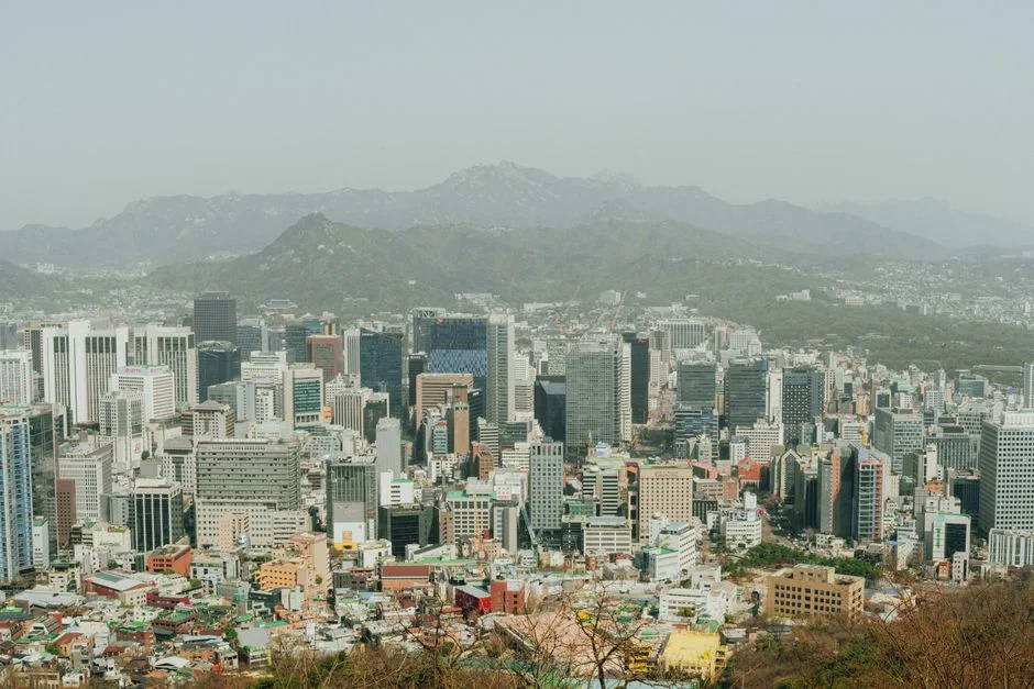 42,000 Foreign Nationals Register Businesses in South Africa — Politics Governance