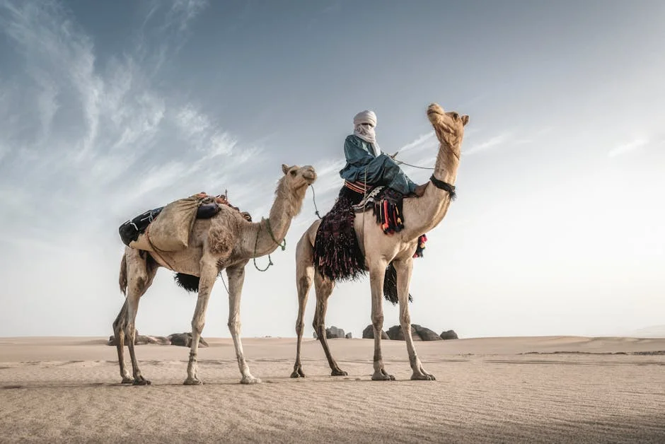 Acompanhe Slows Middle East Pessimism as Europe Faces 1% Loss