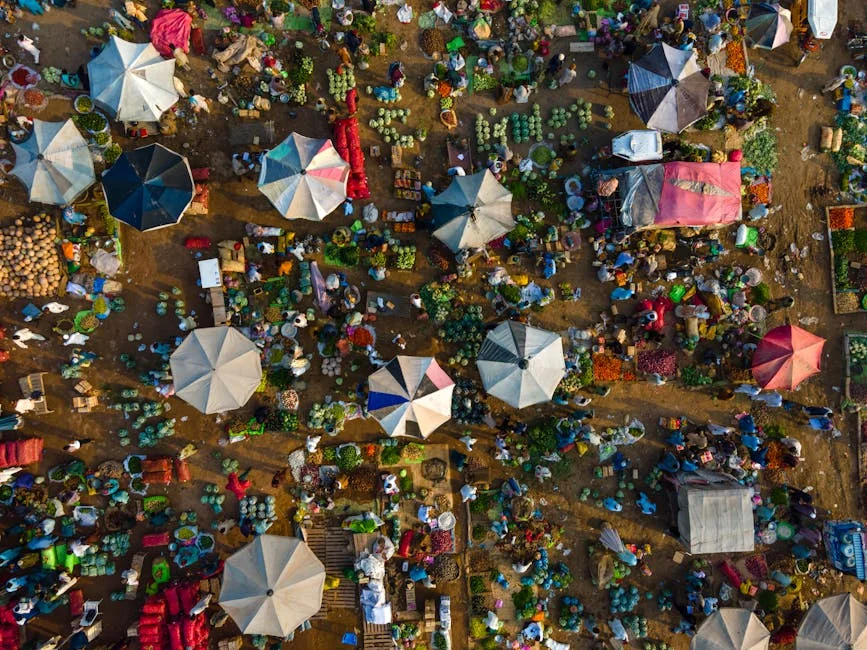 Africa Day 2024: Markets Ignore Rhetoric as Trade Wars Deepen — Technology Innovation