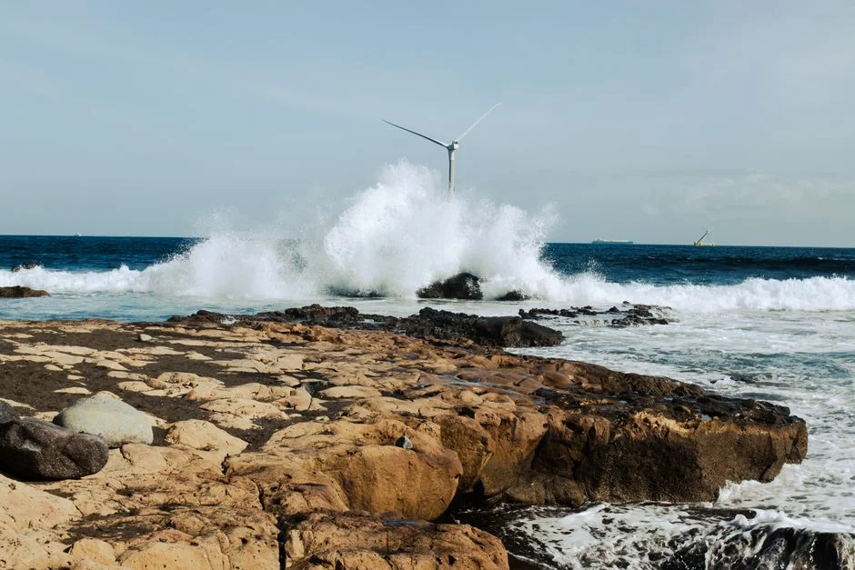 Africa Wins Leadership of Global Ocean Talks — $1.4 Trillion Prize Awaits — Environment Nature