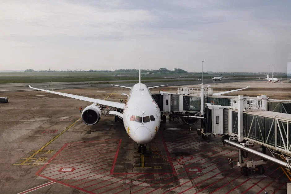 Appeals Dismissed: Cape Winelands Airport Clears Key Environmental Hurdle