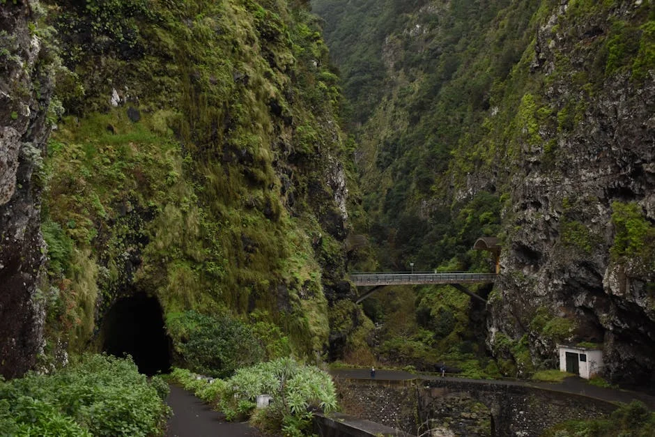 Azores Cultural Agents Demand Policy Centralisation — Economic Impacts Loom