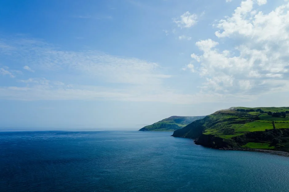 Belfast Lough Minister Denies Raw Sewage Posters Are Official