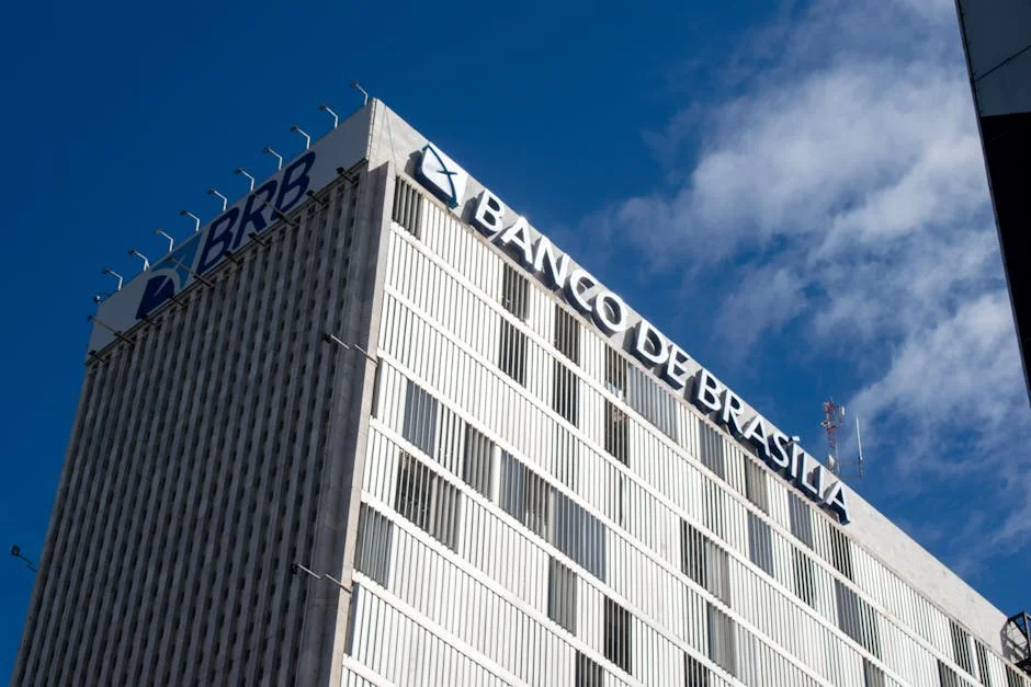 Benfica's Market Value Surges After De Amorim Goal — Economy Business