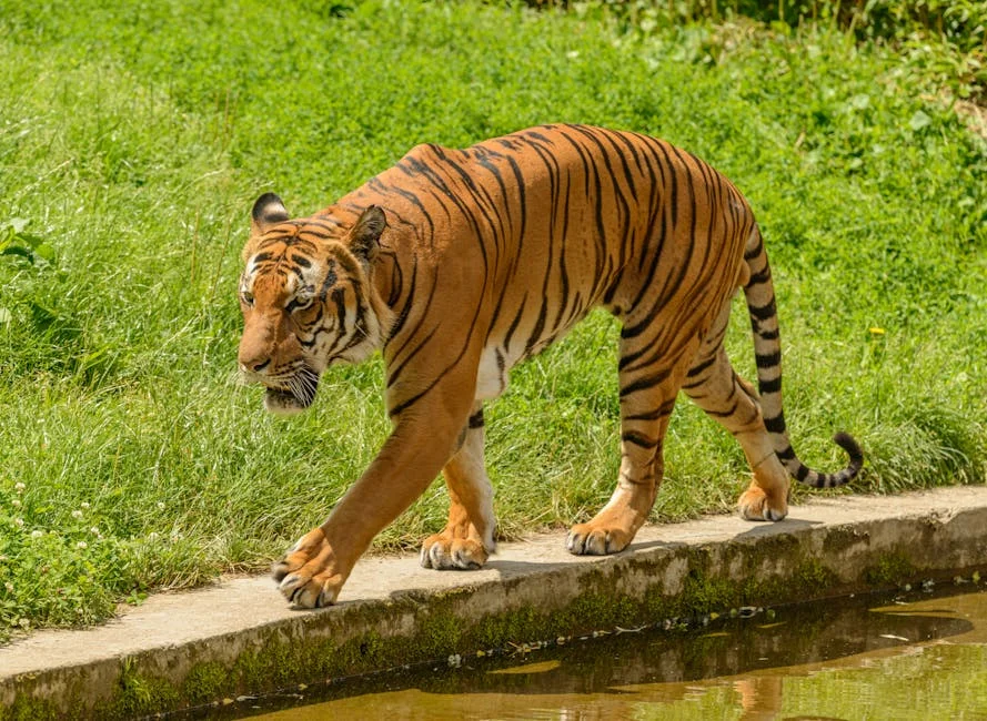 Bengal's Battle of Narratives Could Shake Regional Investment Climate