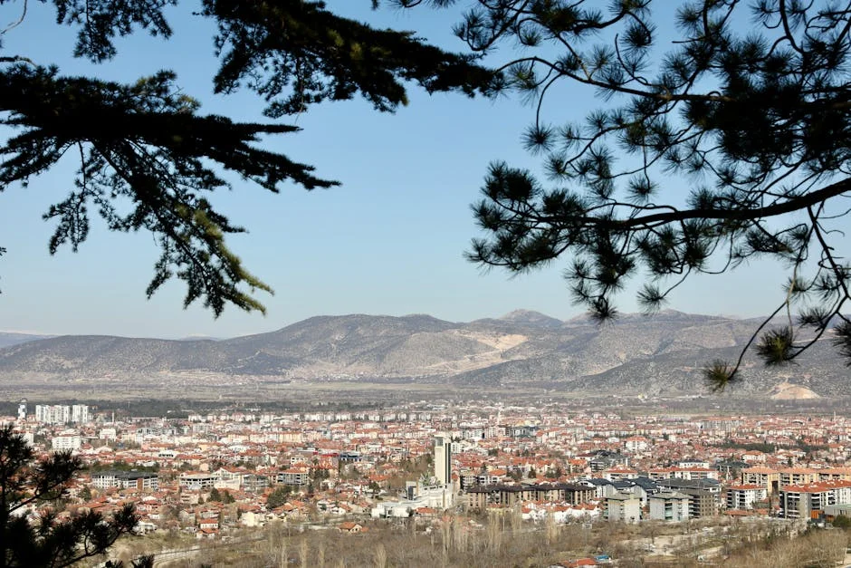 Bulgaria's Sunny Election Day Sparks Market Optimism