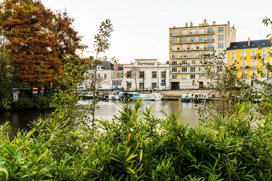 Canal+ Debuts on JSE — French Media Giant Makes History in Johannesburg — Economy Business