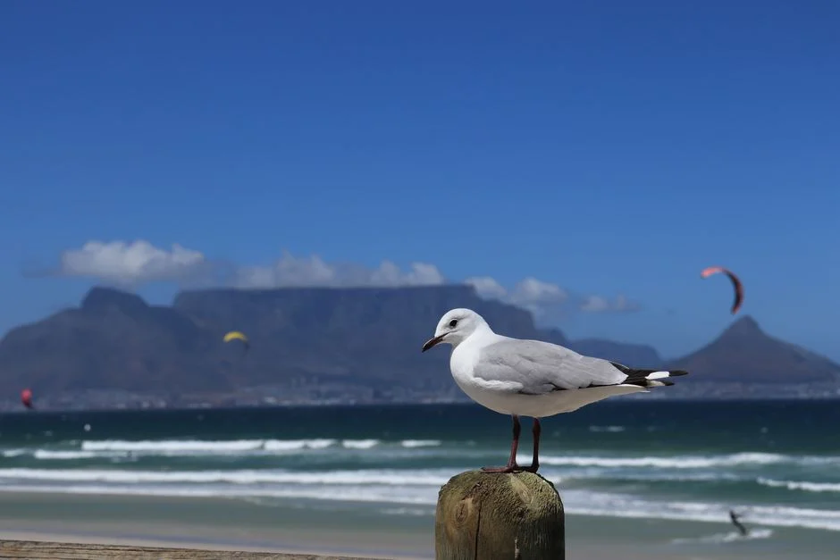Cape Town Launches Free Winter Holiday Clubs — and the Savings for Parents Are Real — Technology Innovation