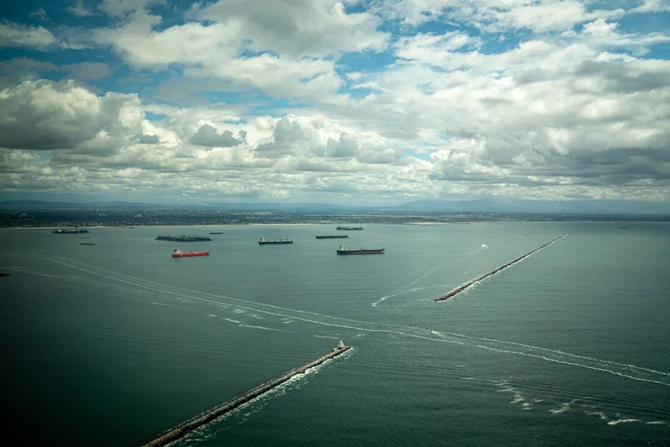 Cape Town Opens 700 New Trading Bays — Boosting Informal Economy
