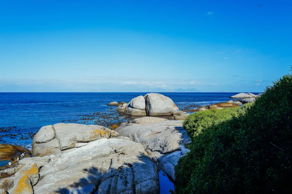 Cape Town Sees Property Prices Surge to Record Highs — Affordability Crisis Looms