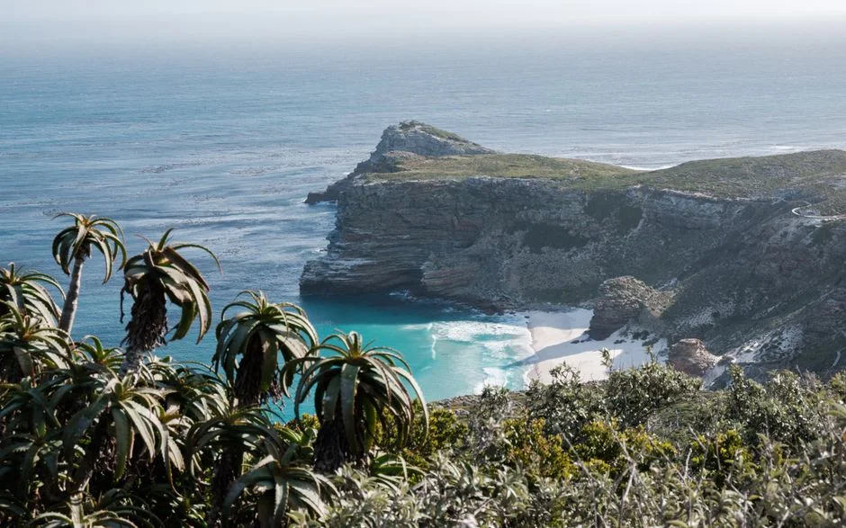 Cape Town Tourism Wins Gold at Africa Film Festival — Industry Leaders React