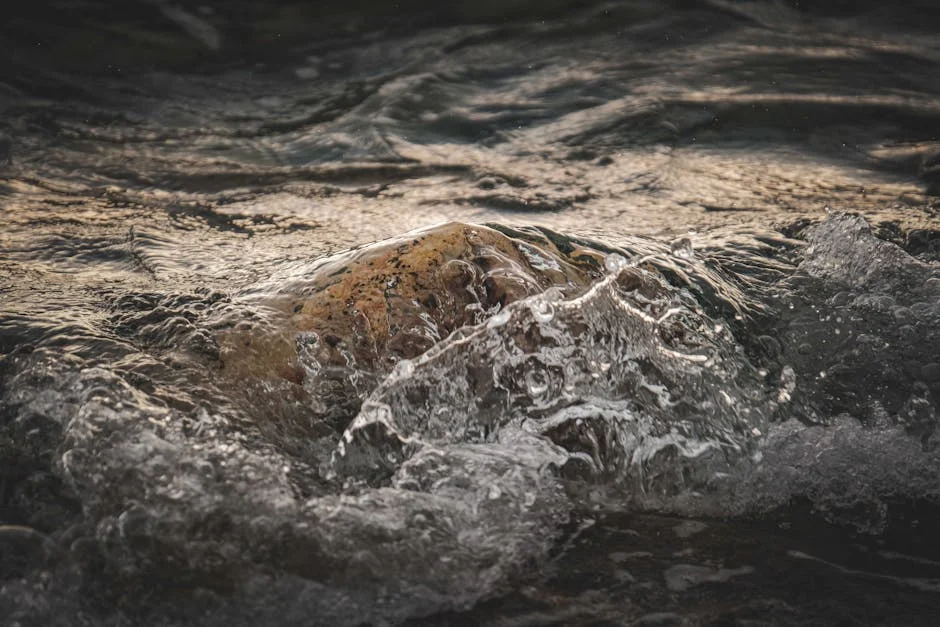 Civil Groups Force Gauteng Water Mafias Out — Environment Nature