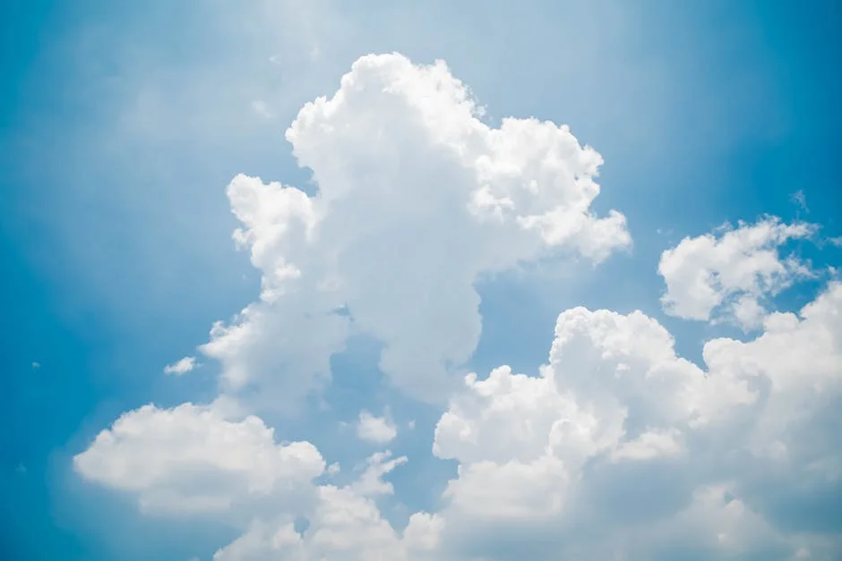 Cloud Bills Spike 40% in Africa — CFOs Demand Fixes — Agriculture Food