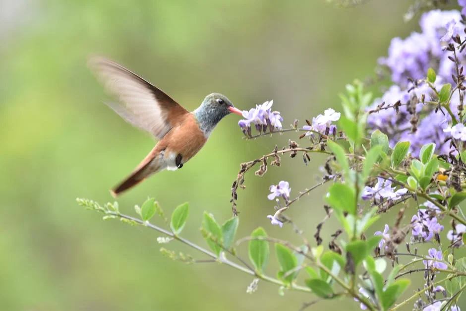Colombia’s Birding Boom Triggers $2.1 Billion Economic Shift