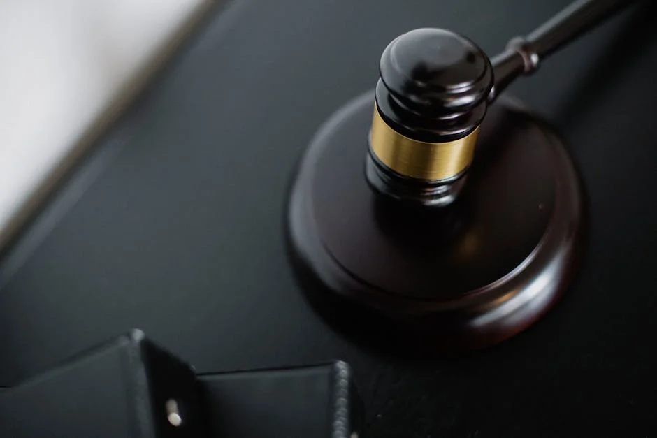 Constitutional Court Tests Magudumana Deportation Case