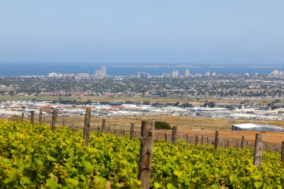 DA Names New Western Cape Mayoral Candidates — Uncertainty Looms Over Regional Economy
