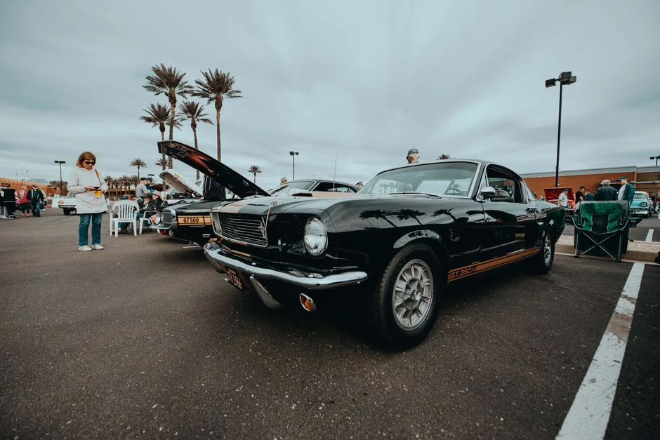 East Rand Motor Show 2026 Opens — What It Means for South Africa's Automotive Sector