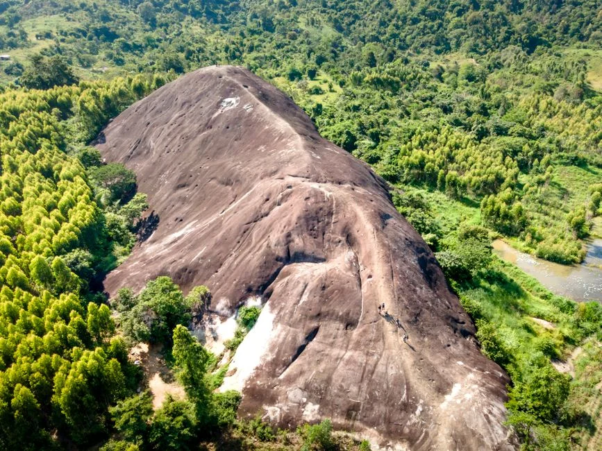 Ecobank Issues $500 Million Nature Bond to Protect Africa's Ecosystems — Economy Business
