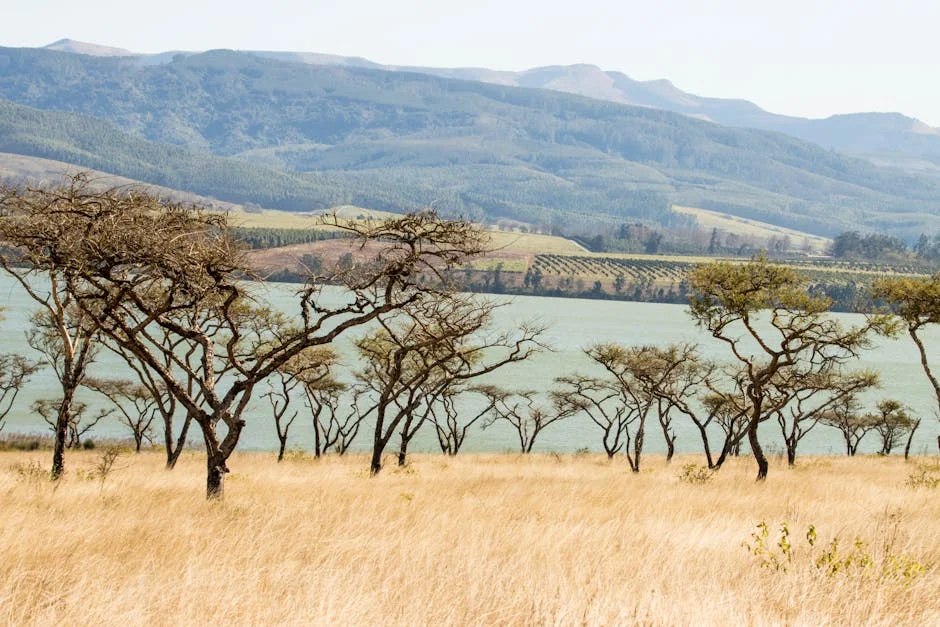 Edward Kieswetter Tackles South Africa's Tax Challenges Amid Economic Strain