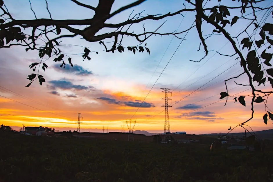 Eskom Faces Pressure to Transfer Grid Allocation — Economic Ripples Expected