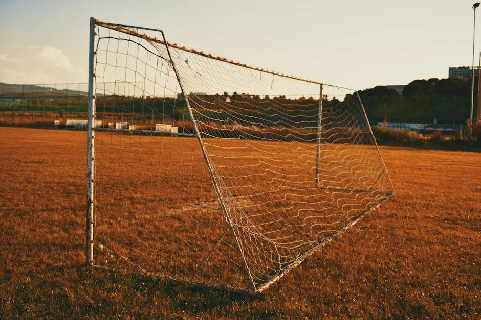 FIFA Inaction Triggers Brand Risk for Sponsors — Economy Business