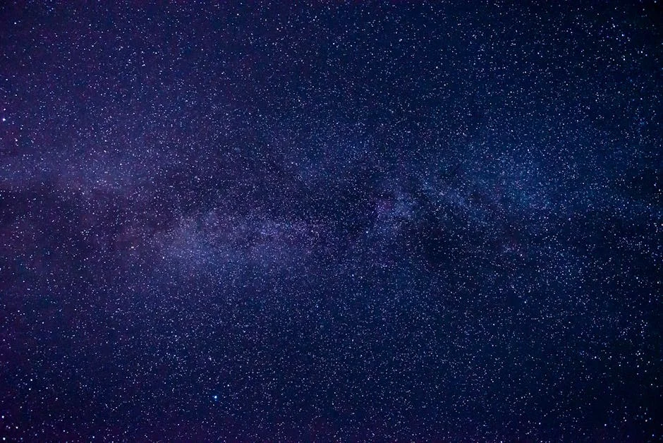 First Stars Reveal YouTube's Hidden Risks — South Africa Investors Warned — Economy Business