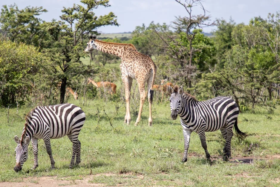 France Engages African Leaders in Kenya — Aiming to Revamp Economic Ties