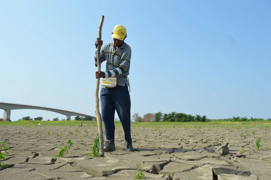 FRC Warns Nigeria's Actuaries Shortage Threatens $12bn Insurance Market — Agriculture Food