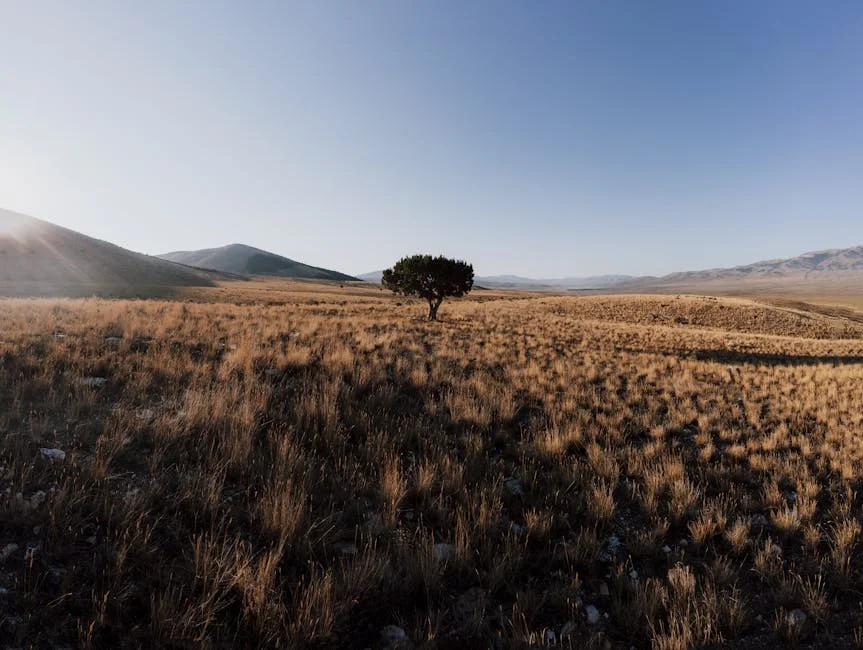 Free State and North West Brace for Afternoon Showers — Business Impact Looms — Education