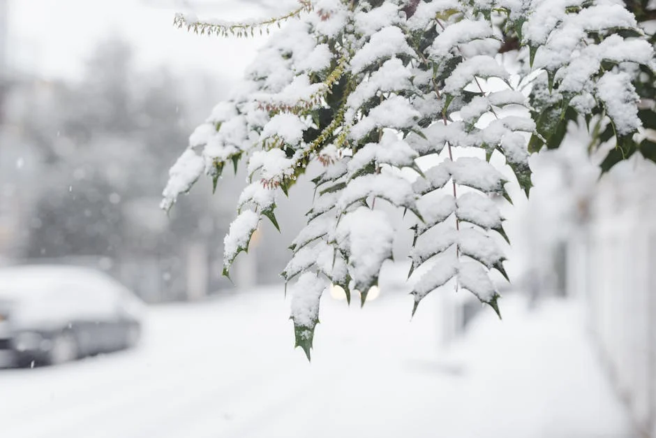 Gauteng Braces for Severe Cold Snap — Businesses Urged to Prepare for Impact — Culture Arts