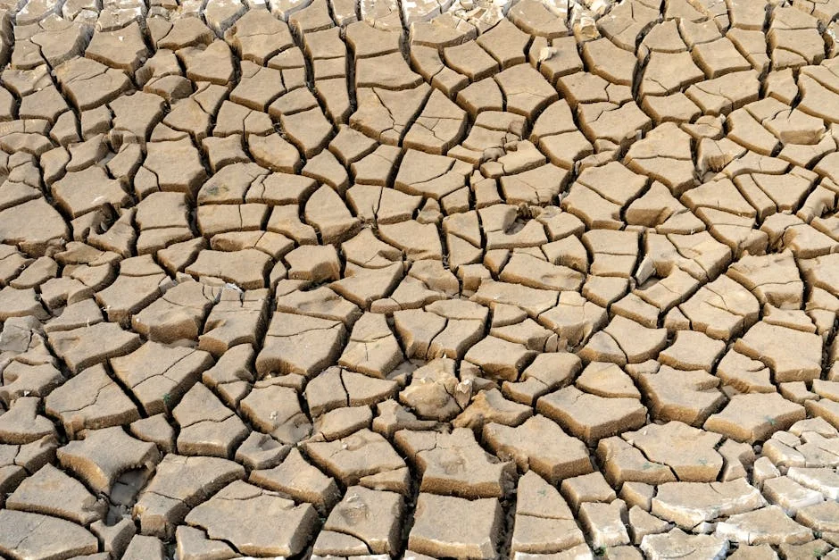 Gauteng Water Crisis Exposes Municipal Debt Time Bomb for Investors