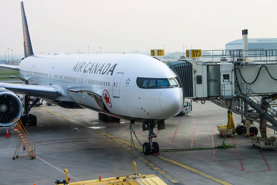 Ghana Freezes Repatriation Sign-ups in South Africa — Thousands in Limbo