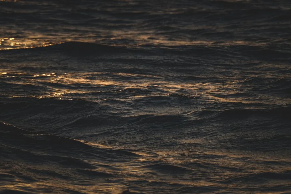 Global Leaders Warn Ocean Crisis Forces Africa to Rethink Climate Strategy — Agriculture Food