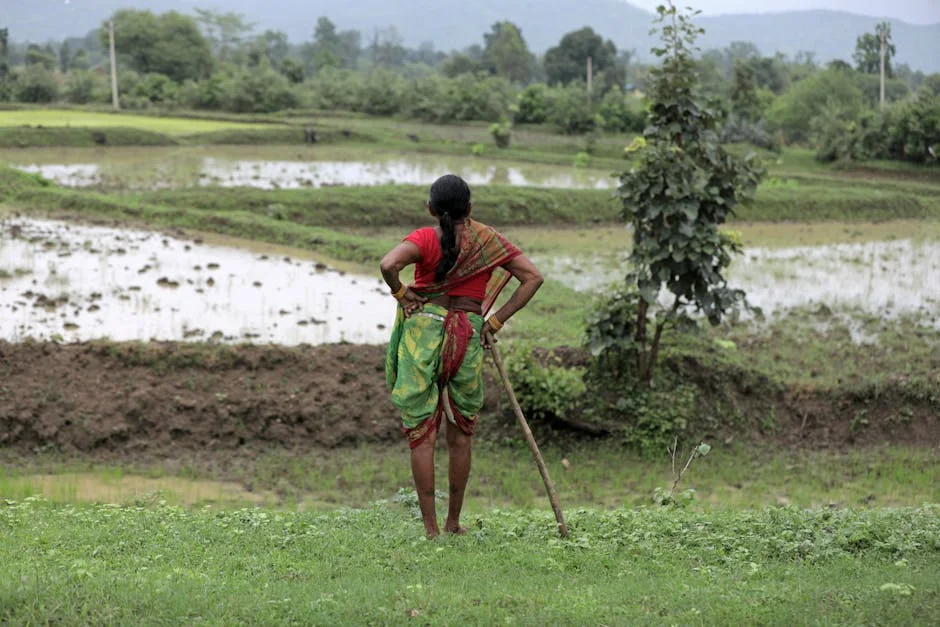 Gujarat Farmers Face Drought as Monsoon Fails — Crops at Risk