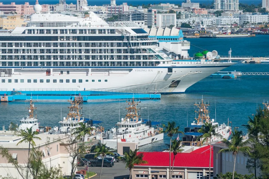 Hantavirus Deaths on Argentine Cruise Trigger Travel Sector Jitters — Economy Business