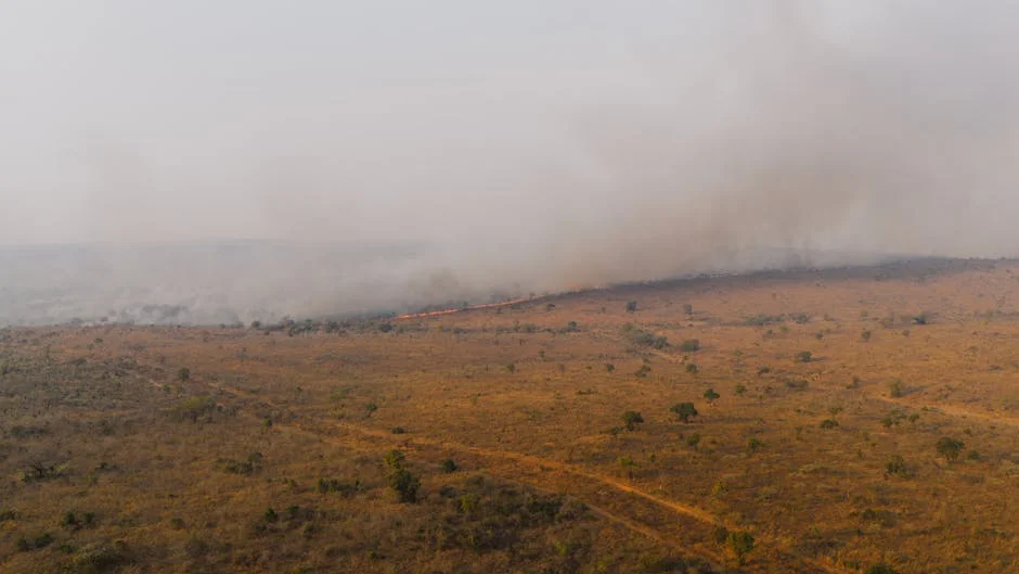 Hunters in Mozambique Defy Global Trends to Save Wildlife