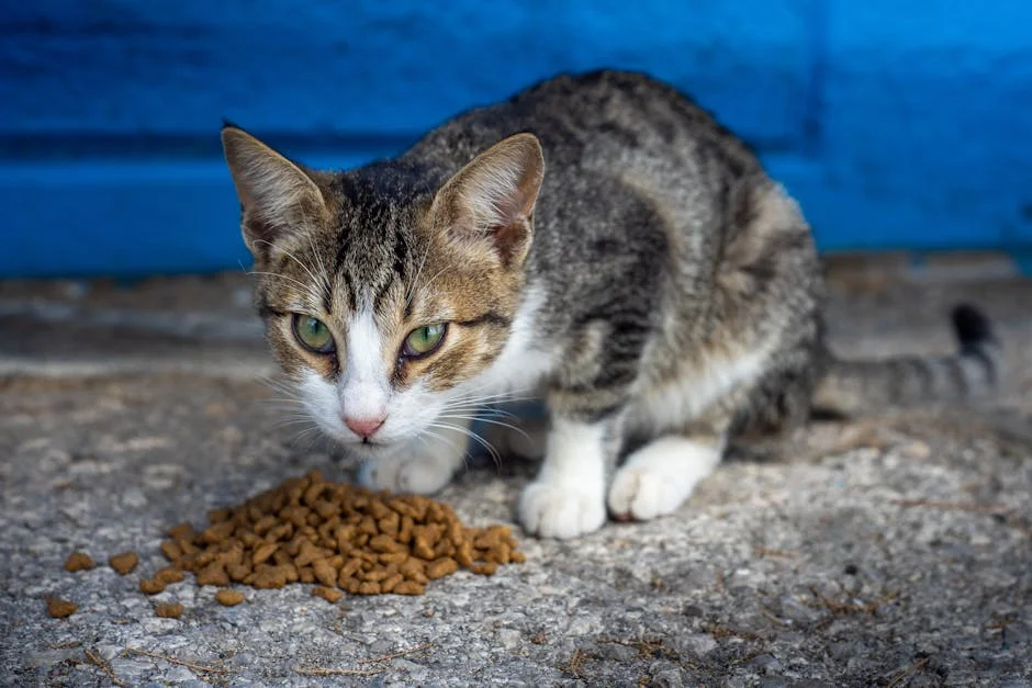 India Demands Pet Food Supplies Amid Crisis — What This Means for South Africa