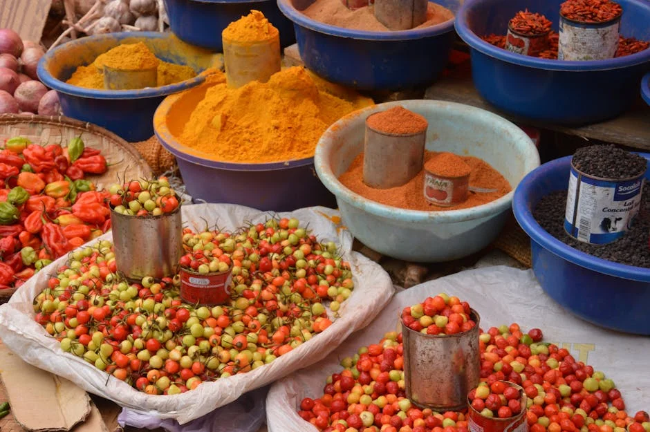 India Turns to Nigeria for Soybeans — Investors Brace for Price Shifts — Economy Business