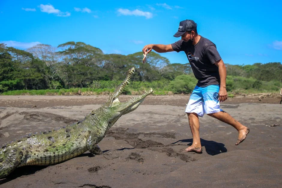 Kenya's Lake Turkana Crocodile Attacks Trigger Tourism Crisis
