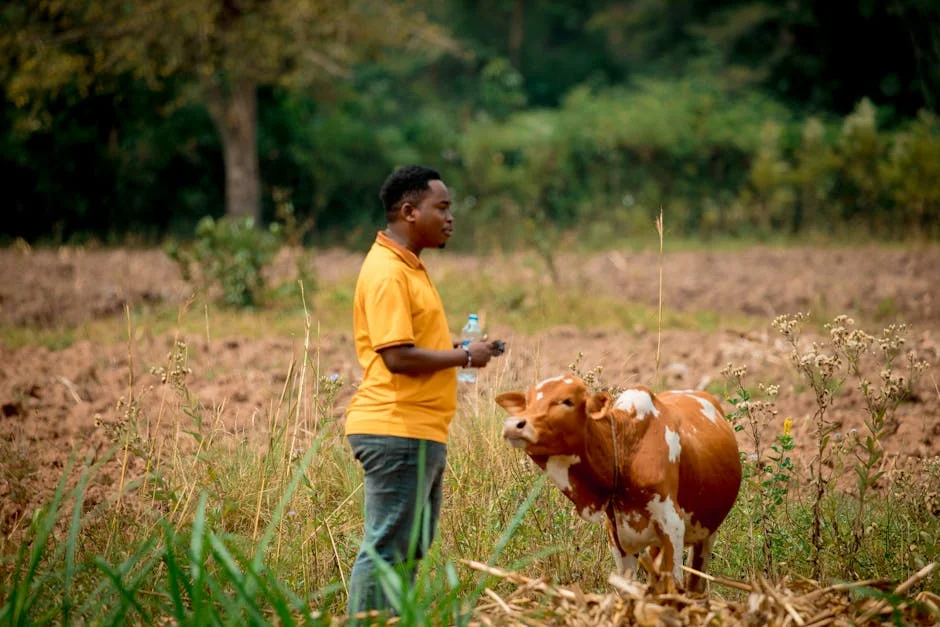 Kenya's Political Violence Threatens Economic Stability and Regional Trade