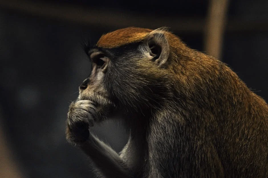 Kibale Chimpanzees Wage Civil War — and Investors Take Notice