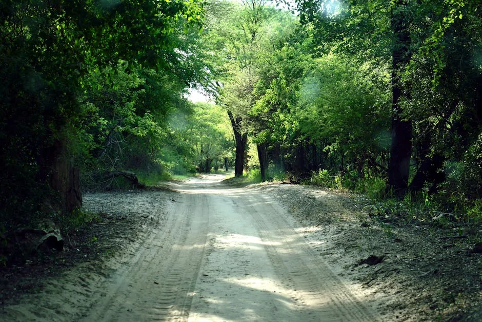 Kwara Attack Kills 5 Forest Guards — Tension Rises in Northern Nigeria
