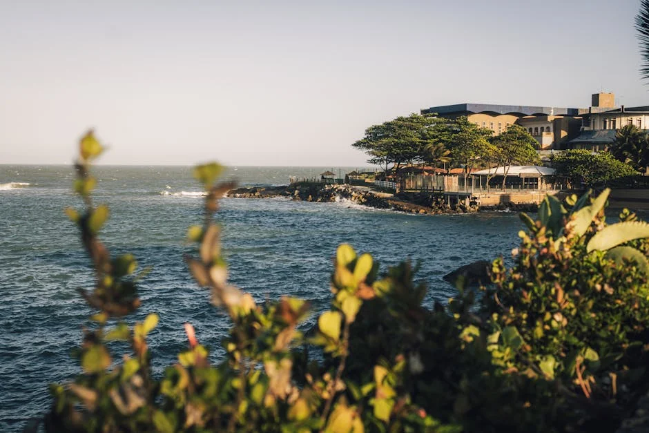 KZN Property Boom Sparks Investor Frenzy in Natal