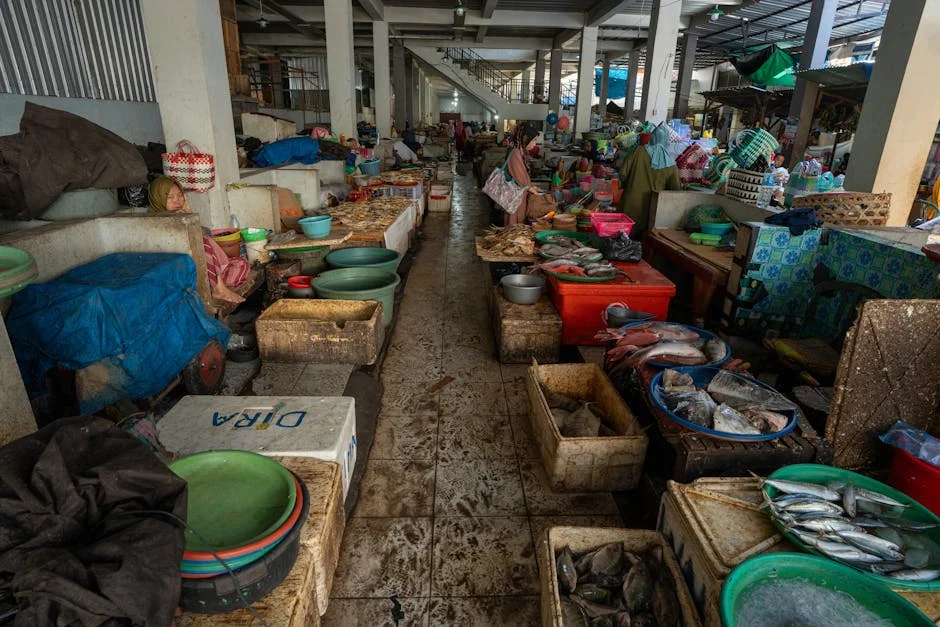 Lourenço Runs Again — Angola Markets Brace for Policy Continuity