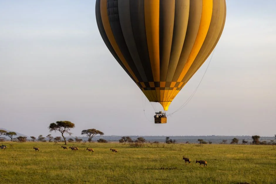 Maasai Mara Revamp Exposes $2 Billion Rift Over Africa's Wildlife Model — Economy Business