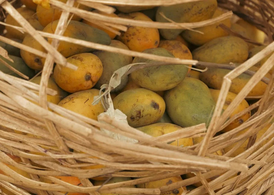 Malihabad Mango Crisis Hits SA Markets — Supply Chain Under Siege