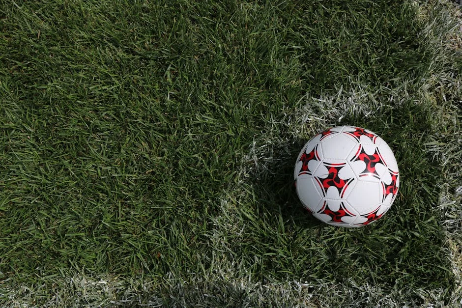 Millwall Defies FIFA Rules to Block Azeez — Nigeria's Portugal Friendly in Doubt — Education