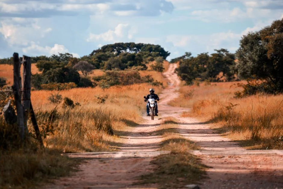 Mozambique Police Accused of Deploying Spy Networks Against Government Critics — Politics Governance