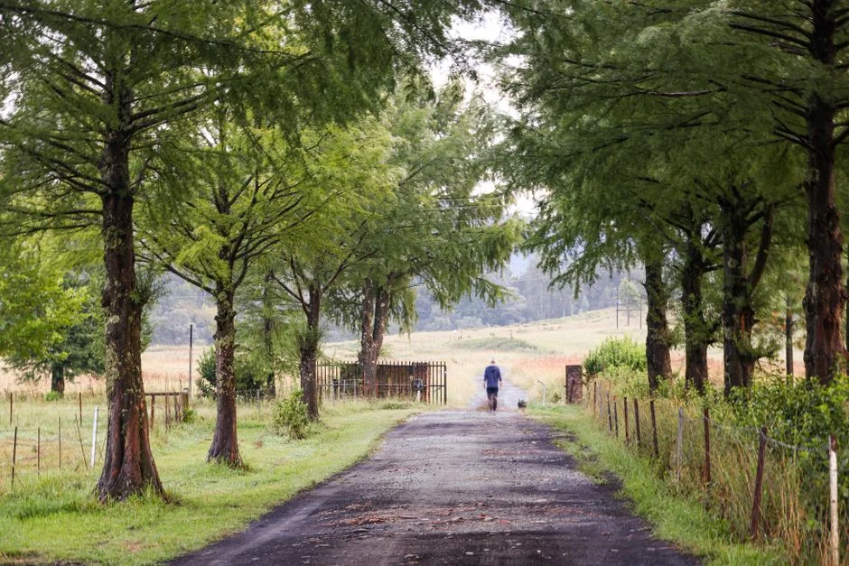 Mpumalanga Officials Avoid Punishment in R2 Million Guardhouse Scandal